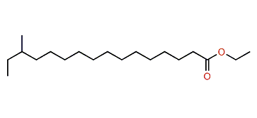 Ethyl 14-methylhexadecanoate